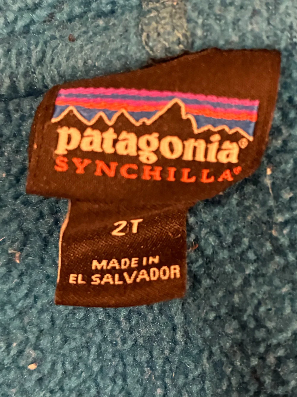 Patagonia Kids Teal Blue Full-Zip Fleece Hoodie